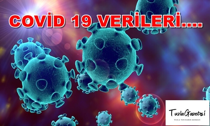 COVİD 19 VERİLERİ 29.11.2020