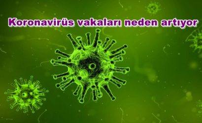 COVİD-19VERİLERİ 28.11.2020