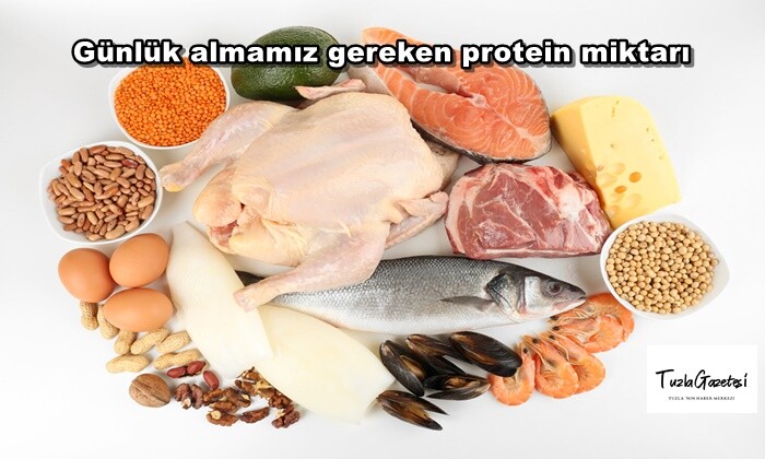 Günlük almamız gereken protein miktarı