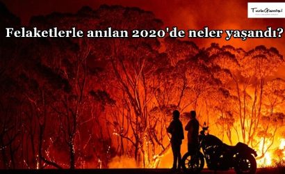 2020 Yılında Dünyada Neler Oldu