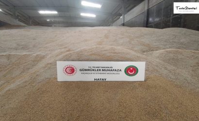 Hatay' da Genetiği değiştirilmiş Pirinç ele geçildi