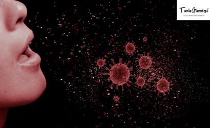 Korona Virüs (Covid 19)