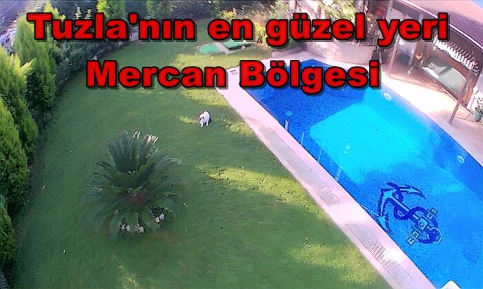 Tuzla’nın en güzel yeri