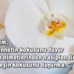 Cuma mesajları resimli 2020 | 'Hayırlı Cumalar' dilekleri en güzel, anlamlı, kısa ve ayetli cuma mesajları ile değer kazanıyor (25 Aralık)