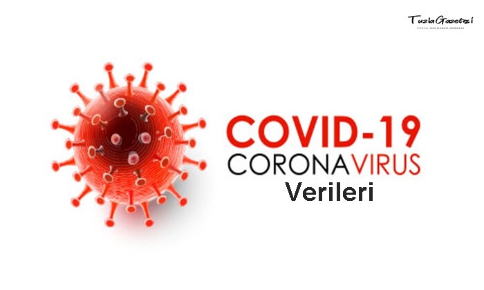 Covid 19 Verileri 08.01.2021