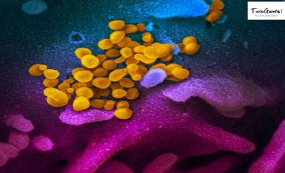 Mutasyonlu Virüs Artık Türkiye'de