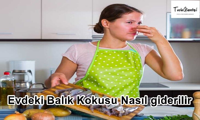 Evdeki Balık Kokusu Nasıl giderilir