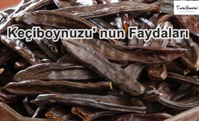 Keçiboynuzu' nun Faydaları nelerdir