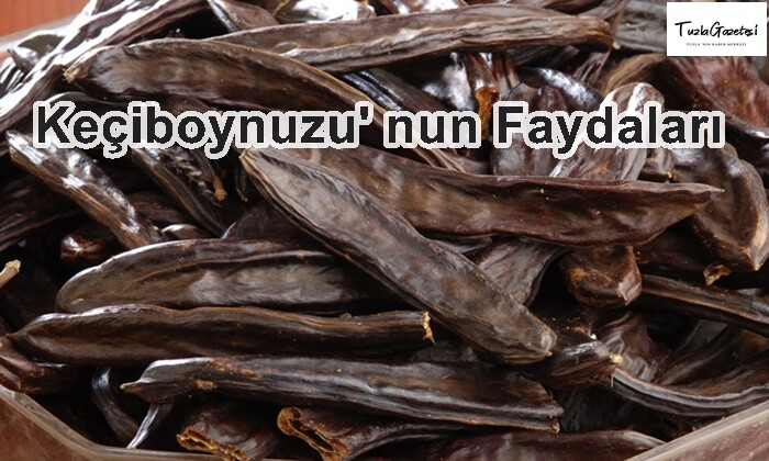 Keçiboynuzu’ nun Faydaları