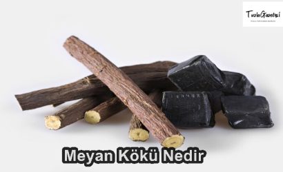 Meyan Kökü faydaları Nedir