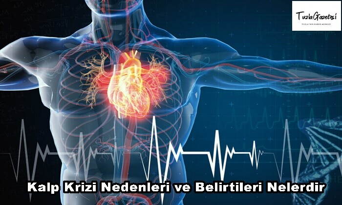 Kalp Krizi Nedenleri ve Belirtileri Nelerdir