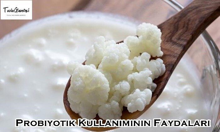 Probiyotik Kullanımının Faydaları