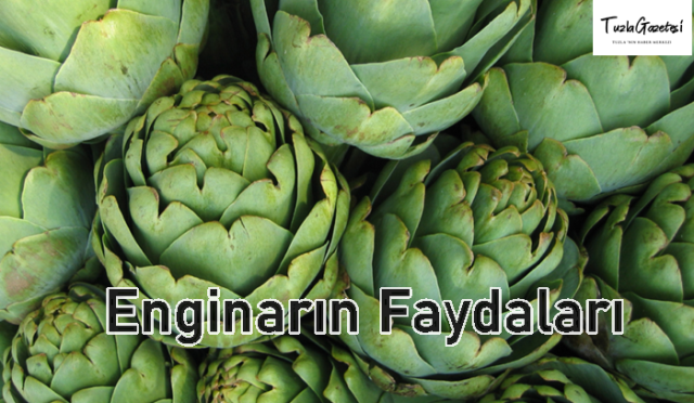 Enginarın Faydaları nelerdir
