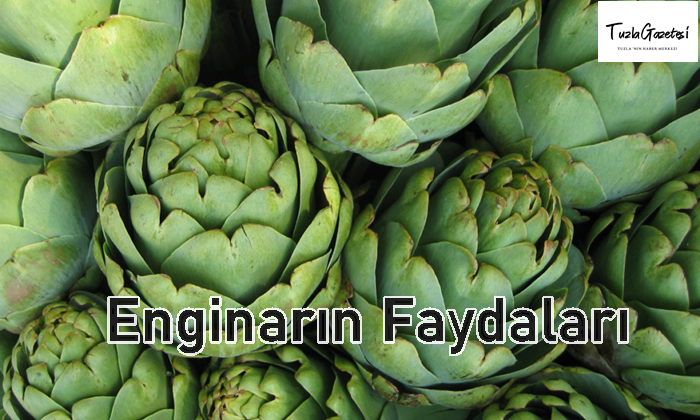 Enginarın Faydaları