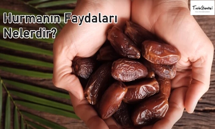 Hurmanın Faydaları Nelerdir