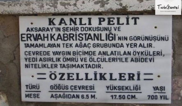 Kanlı Pelit Efsanesi Nedir