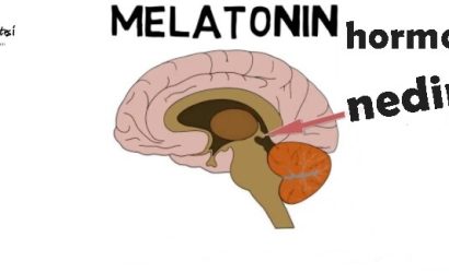 Melatonin Hormonu Nedir
