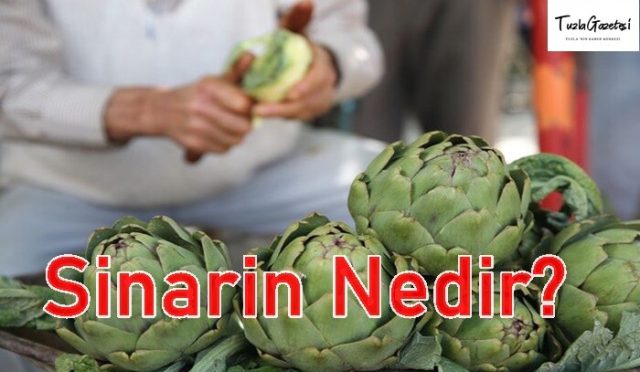 Sinarin faydaları Nedir