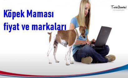 en iyi Köpek Maması