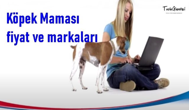 en iyi Köpek Maması