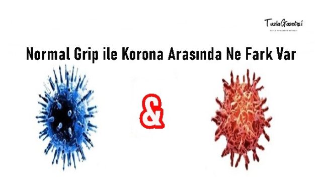 Normal Grip ile Korona Arasında Ne Fark Var