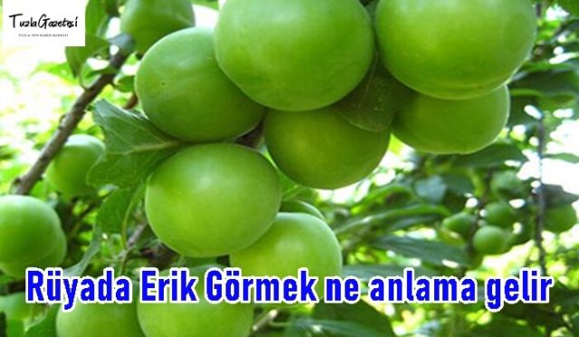 Rüyada Erik Görmek ne anlama gelir