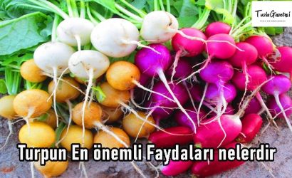 Turpun En önemli Faydaları nelerdir