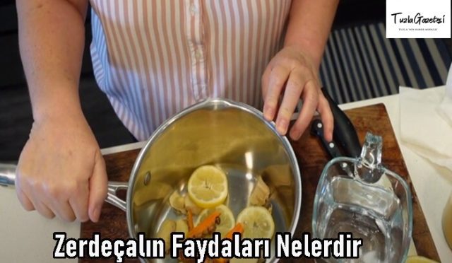 Zerdeçalın Faydaları Nelerdir