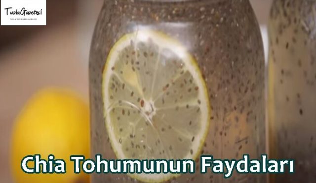 Chia Tohumunun Faydaları ve zararları