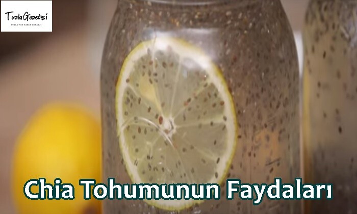 Chia Tohumunun Faydaları ve zararları