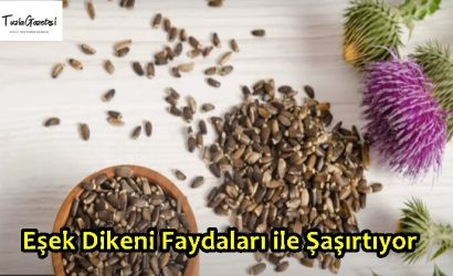 Eşek Dikeni Faydaları ile Şaşırtıyor