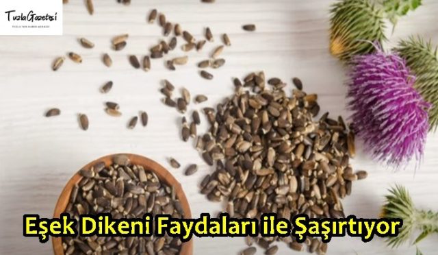 Eşek Dikeni Faydaları ile Şaşırtıyor