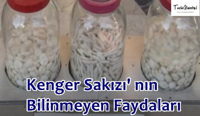 Kenger Sakızı' nın Bilinmeyen Faydaları