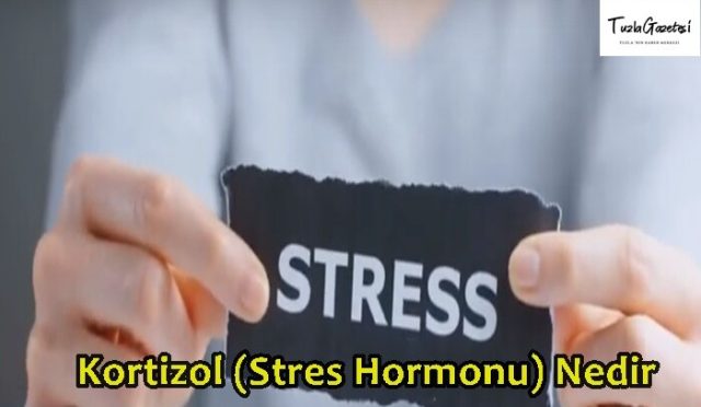 Kortizol Stres Hormonu Nedir