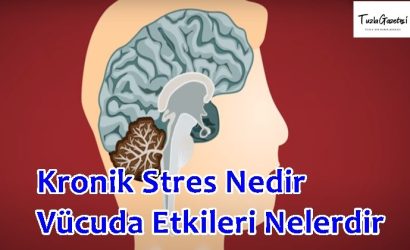 Kronik Stres Nedir Vücuda Etkileri Nelerdir