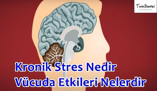 Kronik Stres Nedir Vücuda Etkileri Nelerdir