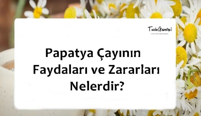 Papatya Çayının Faydaları ve Zararları