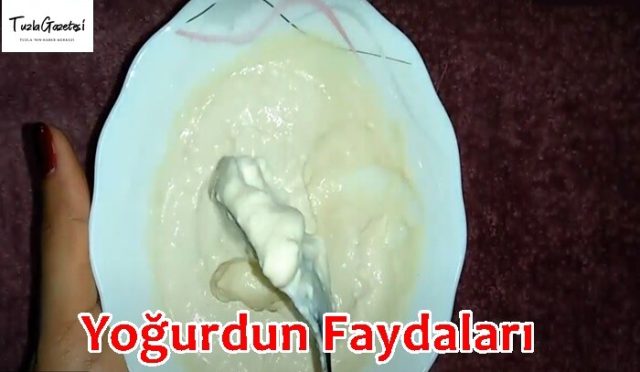 Yoğurdun Faydaları başlıca