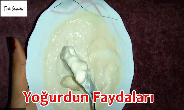 Yoğurdun Faydaları başlıca