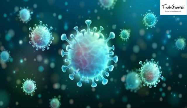 25 Temmuz 2021 korona virüs Tablosu