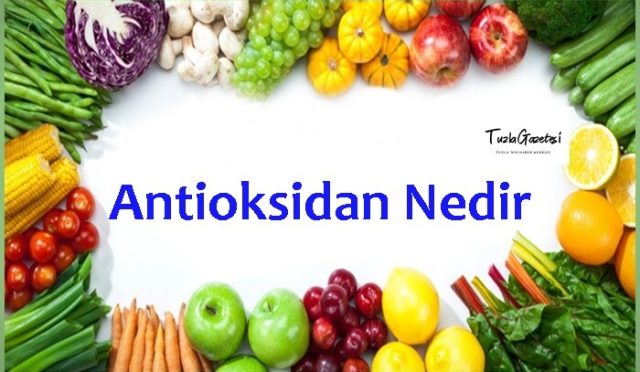 Antioksidan Nedir