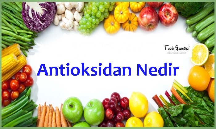 Antioksidan Nedir