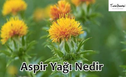 Aspir Yağı faydaları Nedir