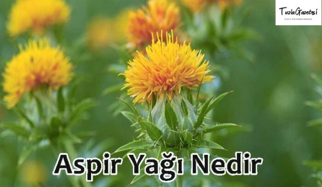 Aspir Yağı faydaları Nedir