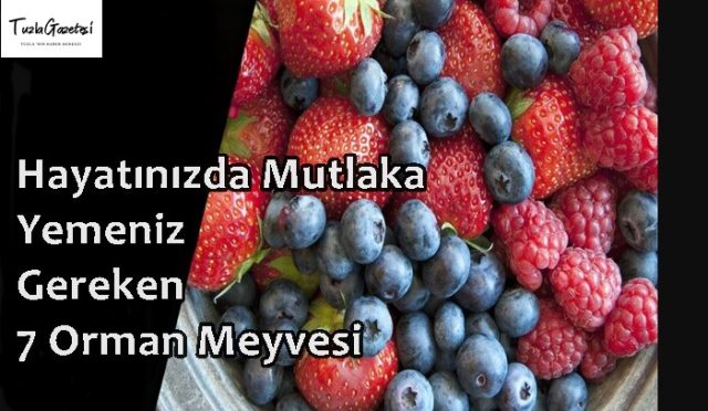 Hayatınızda Mutlaka Yemeniz Gereken 7 Orman Meyvesi