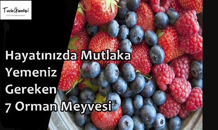 Hayatınızda Mutlaka Yemeniz Gereken 7 Orman Meyvesi