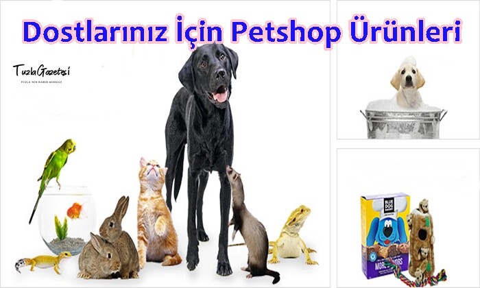 Hayvan Dostlarınız İçin Petshop Ürünleri