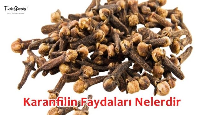 Karanfilin Faydaları Nelerdir