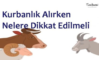 Kurbanlık Alırken Nelere Dikkat Edilmeli