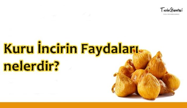 Kuru İncirin Faydaları nedir